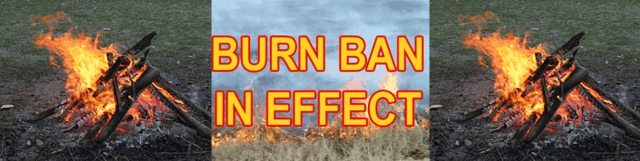 Burn Ban (Demo)