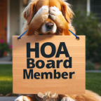 HOA Board Member