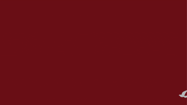 Falcon Pointe Splash Banner