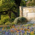 Spring HOA Tips