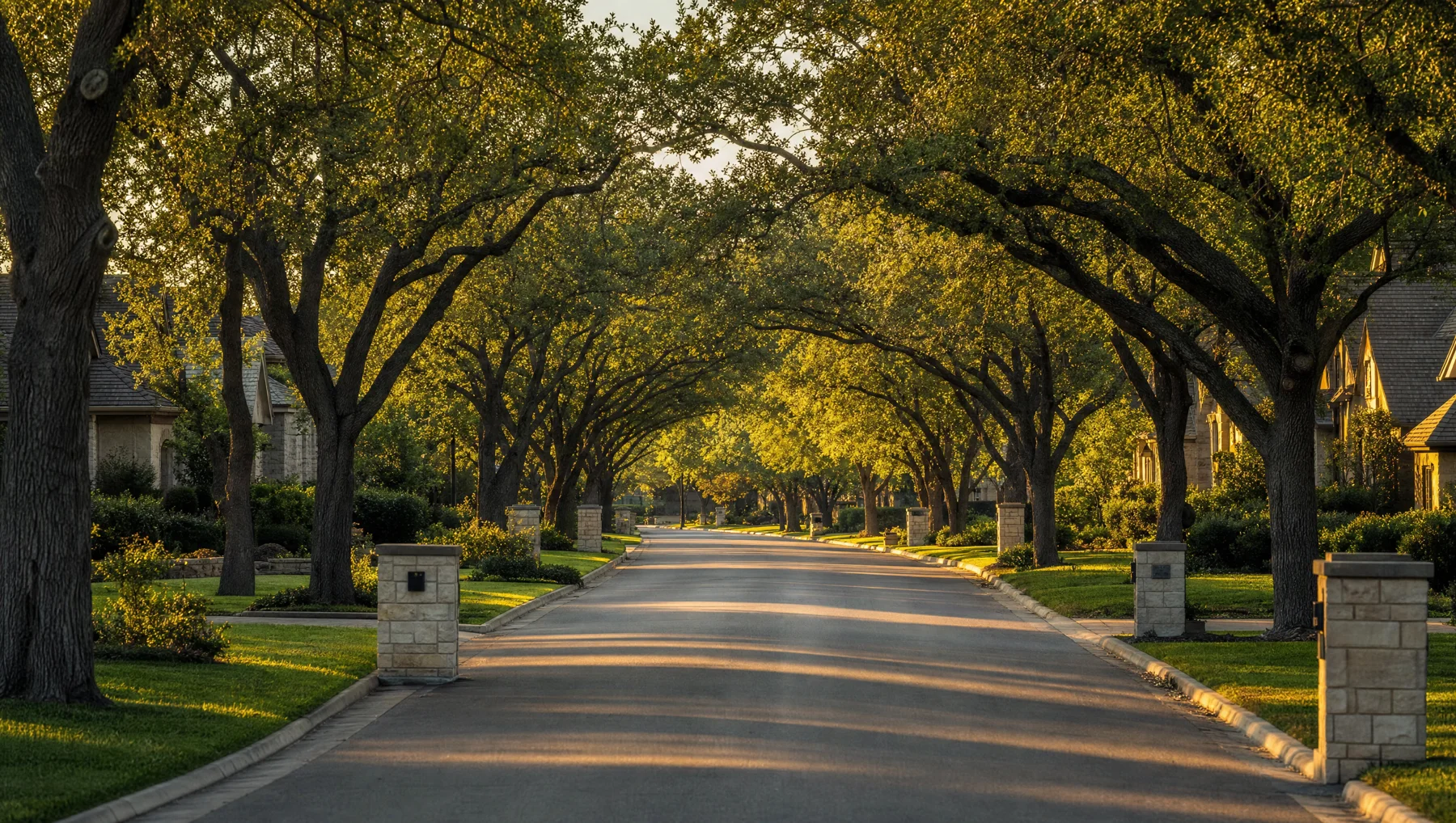 A quiet Central Texas neighborhood street at golden hour